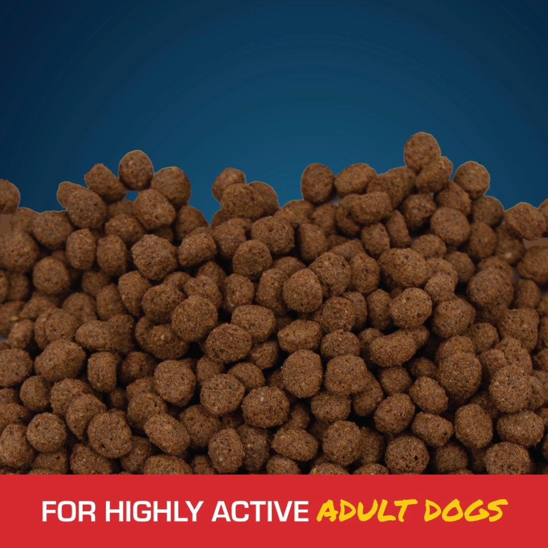 Sportmix Essentials Adult Bacon Flavor Dry Dog Food, 40-lbs
