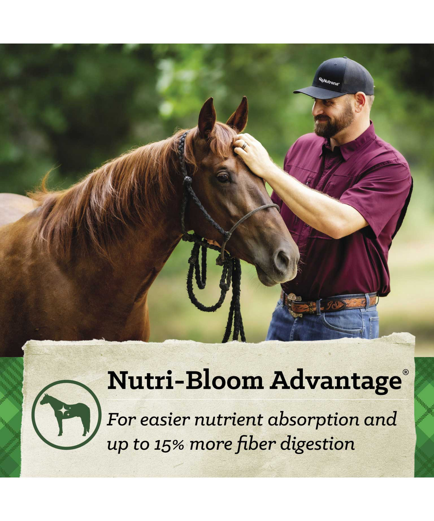 Nutrena Safe Choice Special Care Pellet Feed 50 lbs