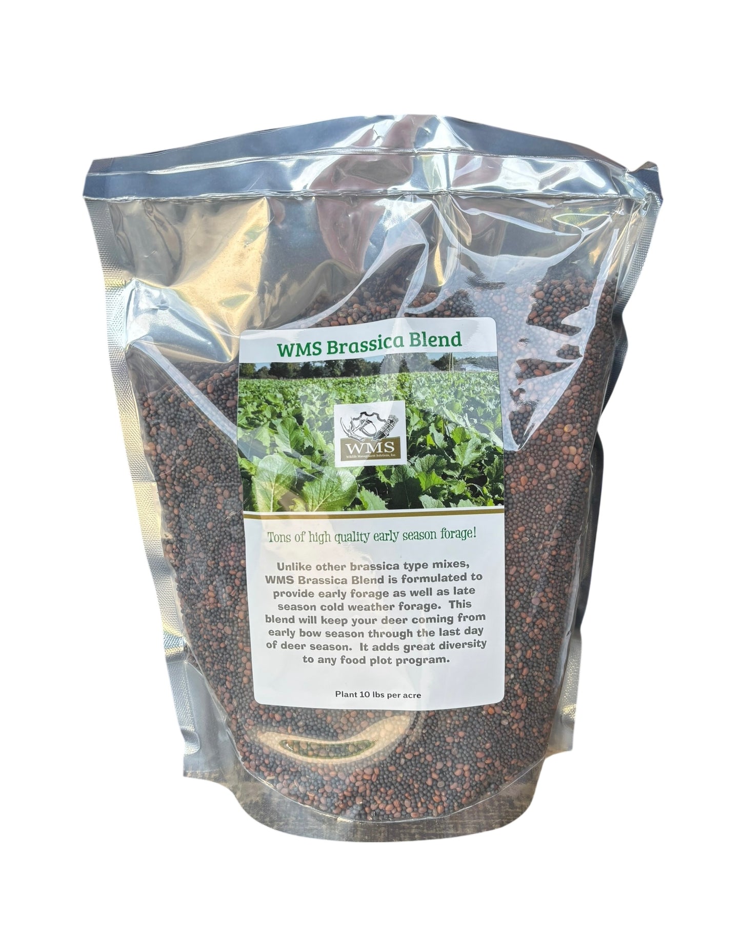 WMS Brassica Blend 3-lbs