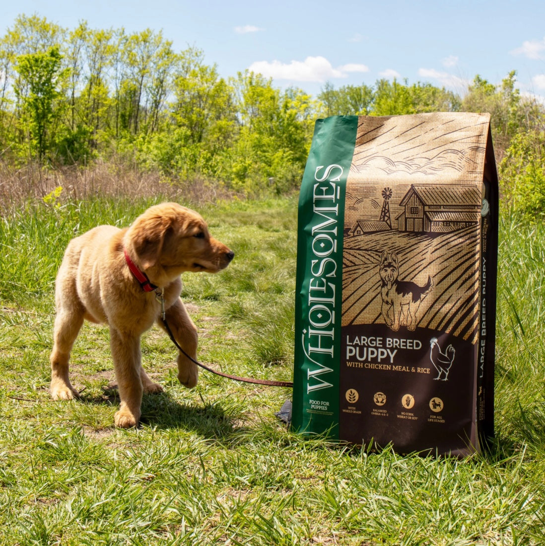 Wholesomes Large Breed Puppy 35-lbs