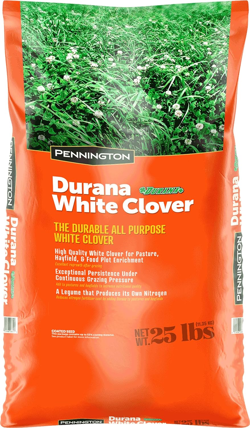 Durana Pennington Coated White Clover
