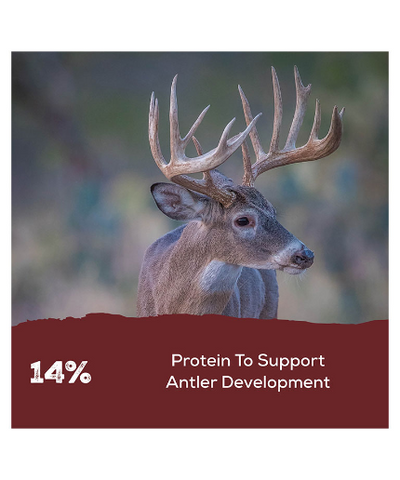 Spincast Record Rack Deer Feed 50 lbs