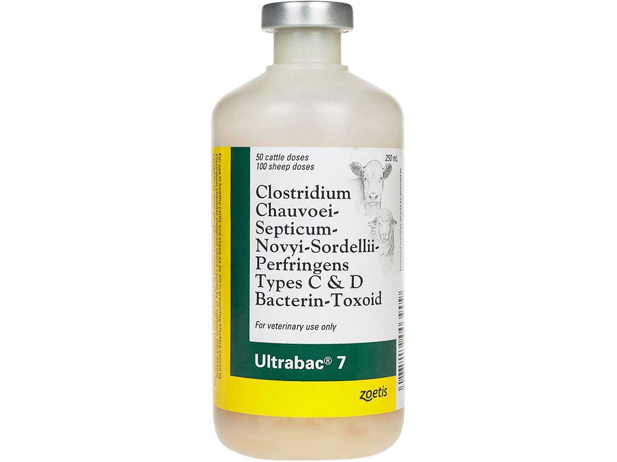 Barvac Ultrabac 7 (blackleg vaccine)