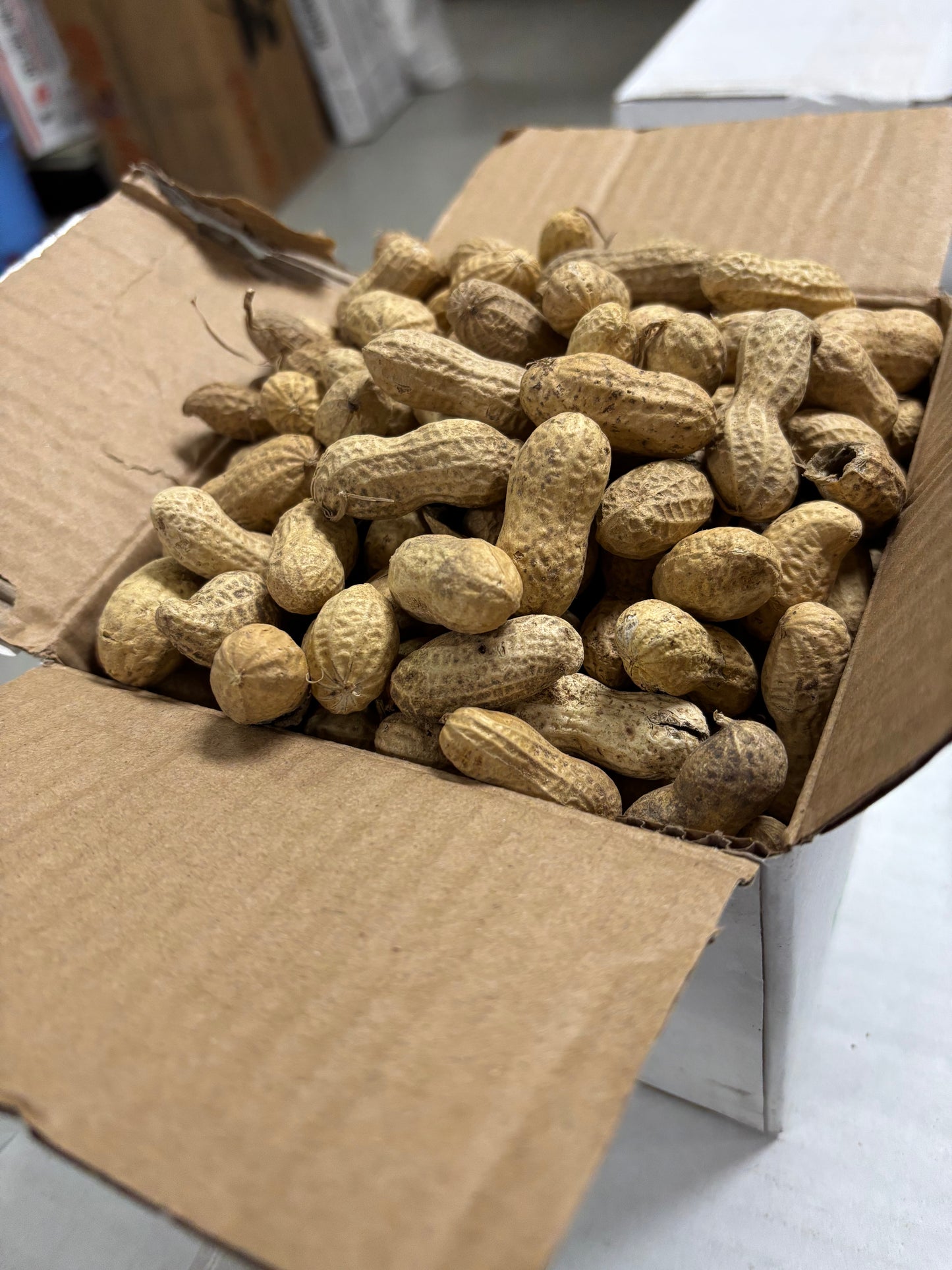 Peanuts Raw in Shell
