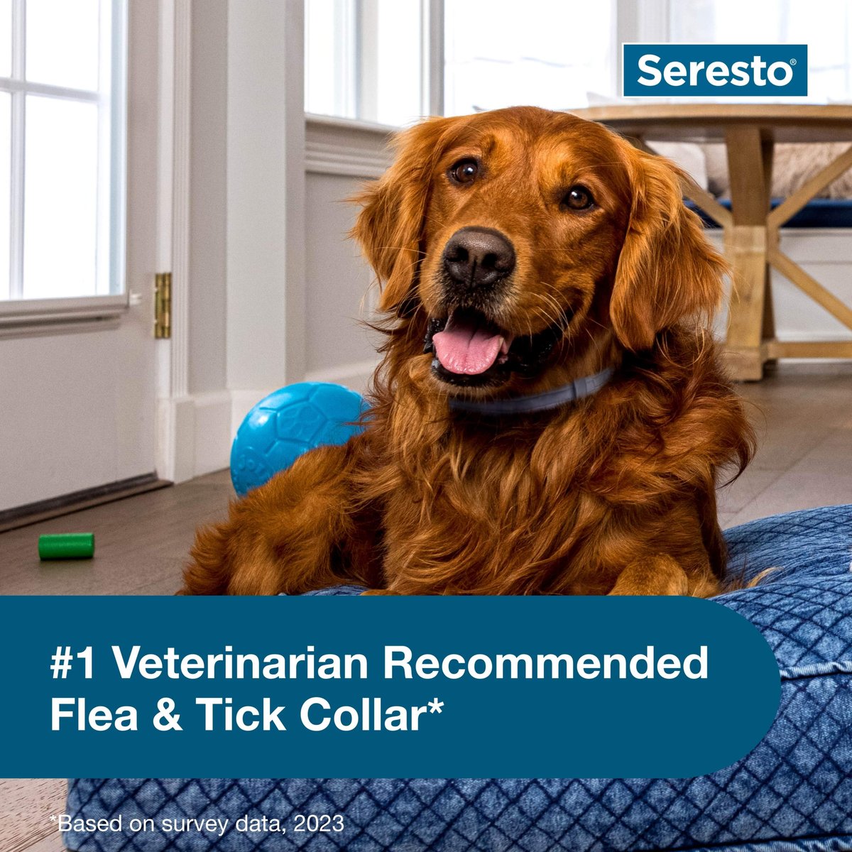 Seresto Flea and Tick Collar for Dogs over 18 lbs