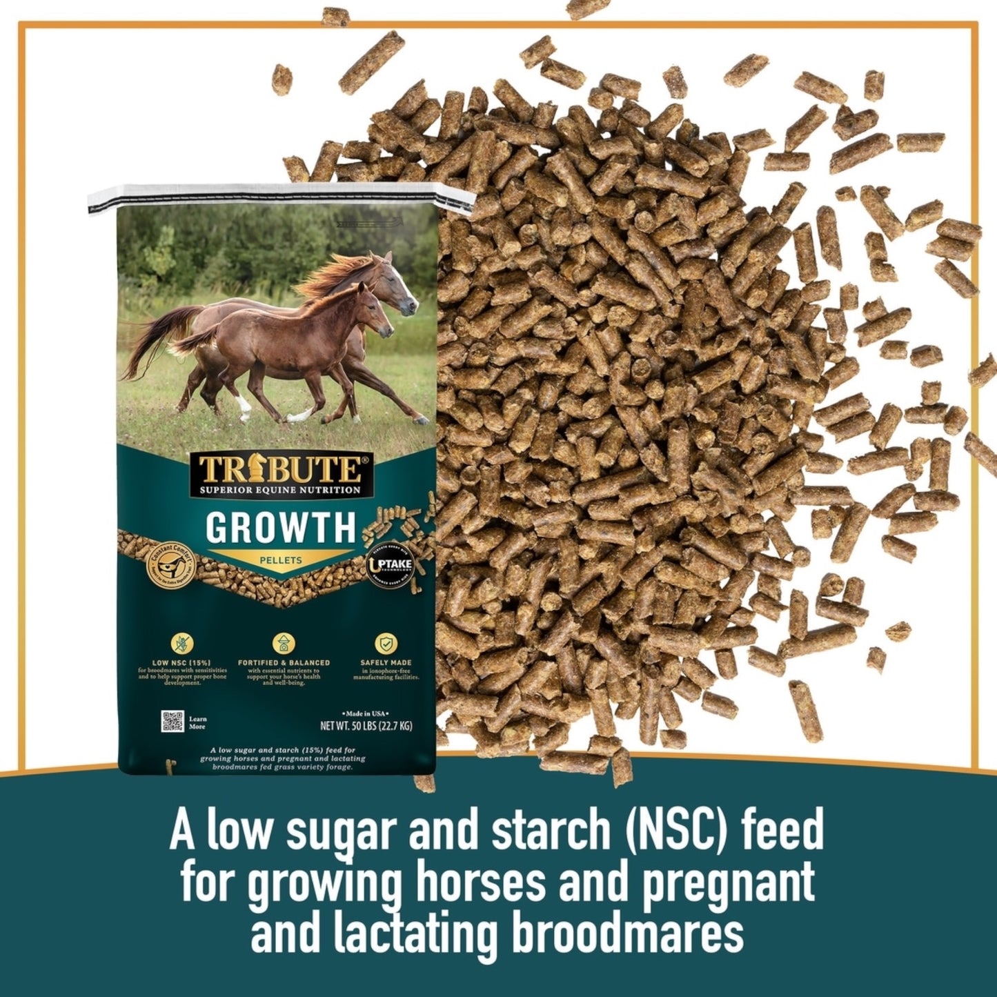Tribute 16% Growth Pellet for Mares & Foals, 50-lbs