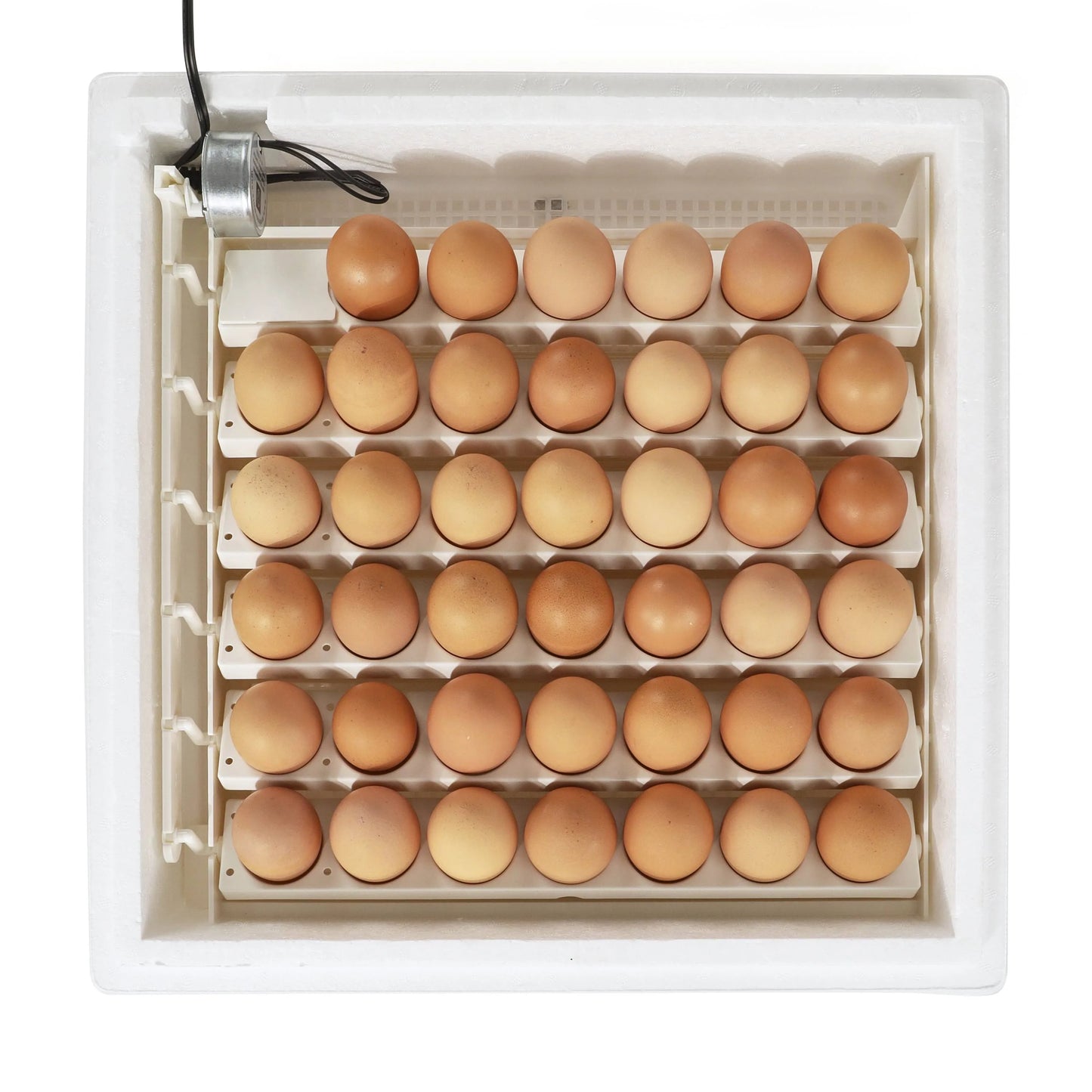 Farm Innovators Automatic Egg Turner