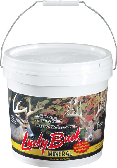 Lucky Buck Mineral