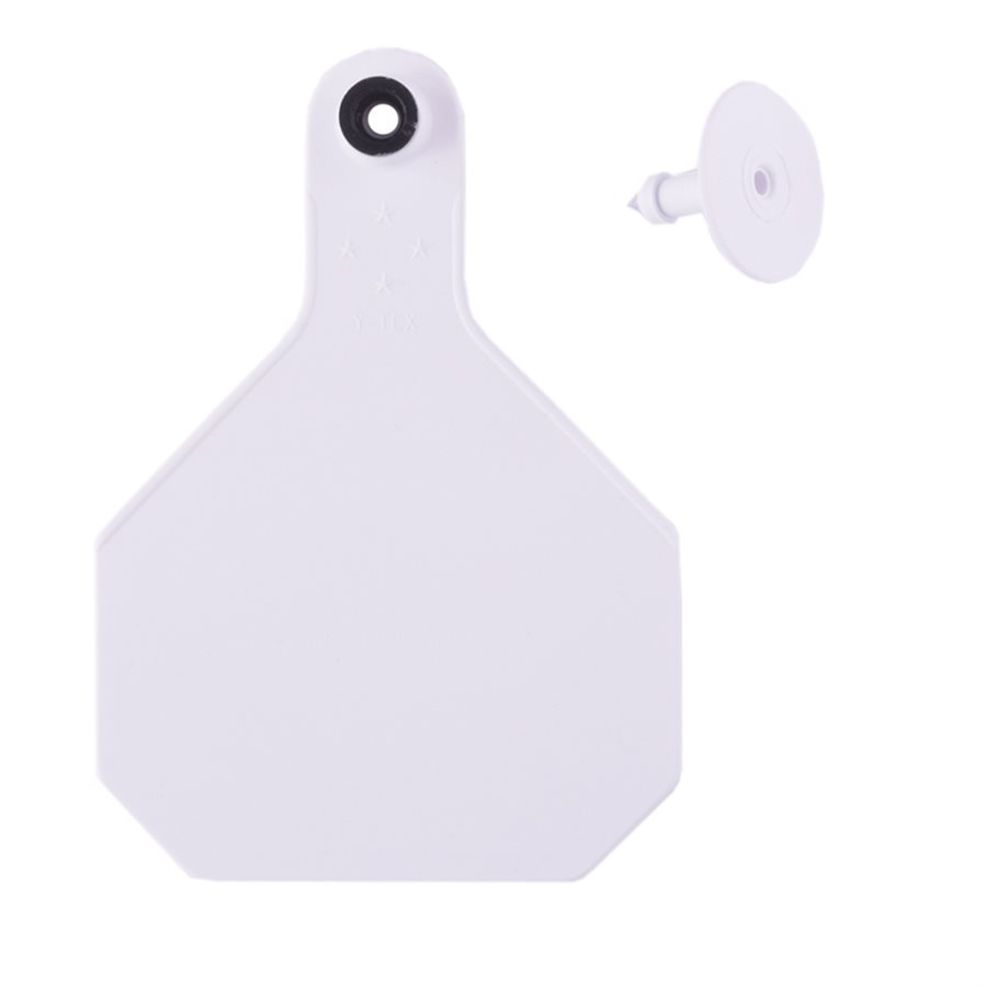 Y Tex Numbered 2 Piece Tags White