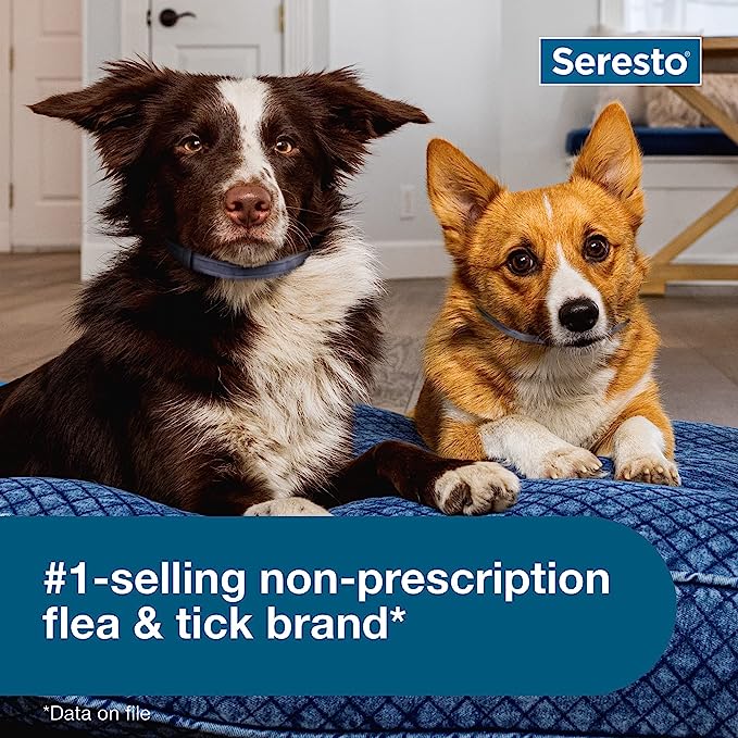 Seresto Flea & Tick Collar for Small Dogs up to 18 lbs