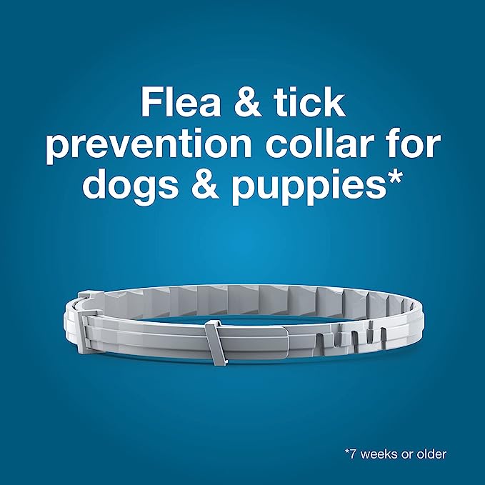 Seresto Flea & Tick Collar for Small Dogs up to 18 lbs