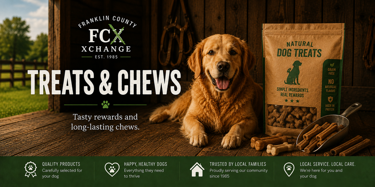 Dog Treats & Chews