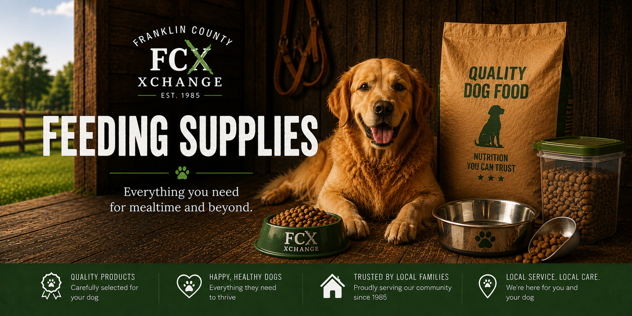 Dog Feeding Supplies