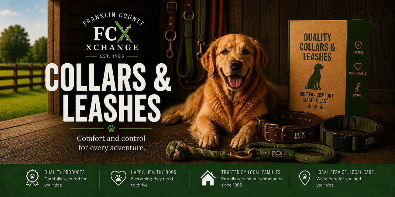Dog Collars & Leashes