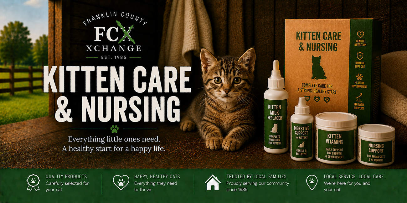 Cat Kitten Care & Nursing