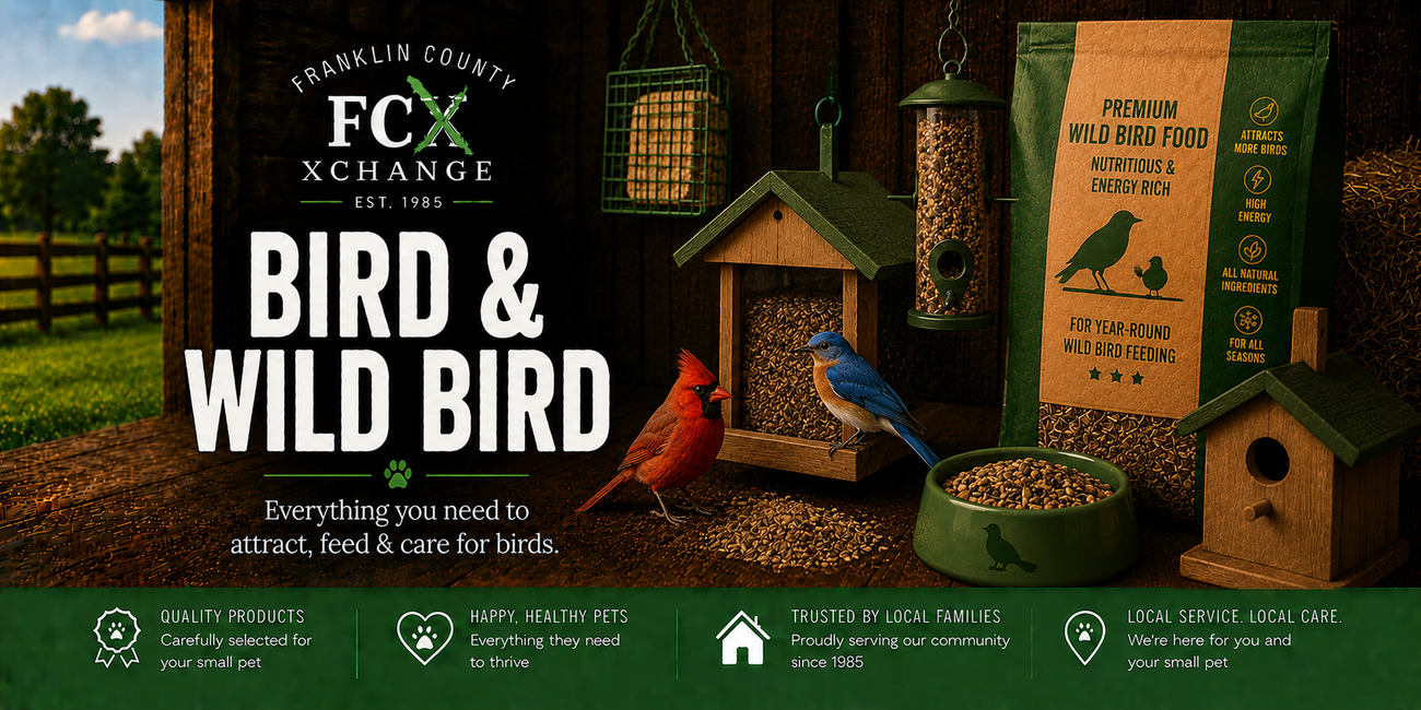 Bird & Wild Bird