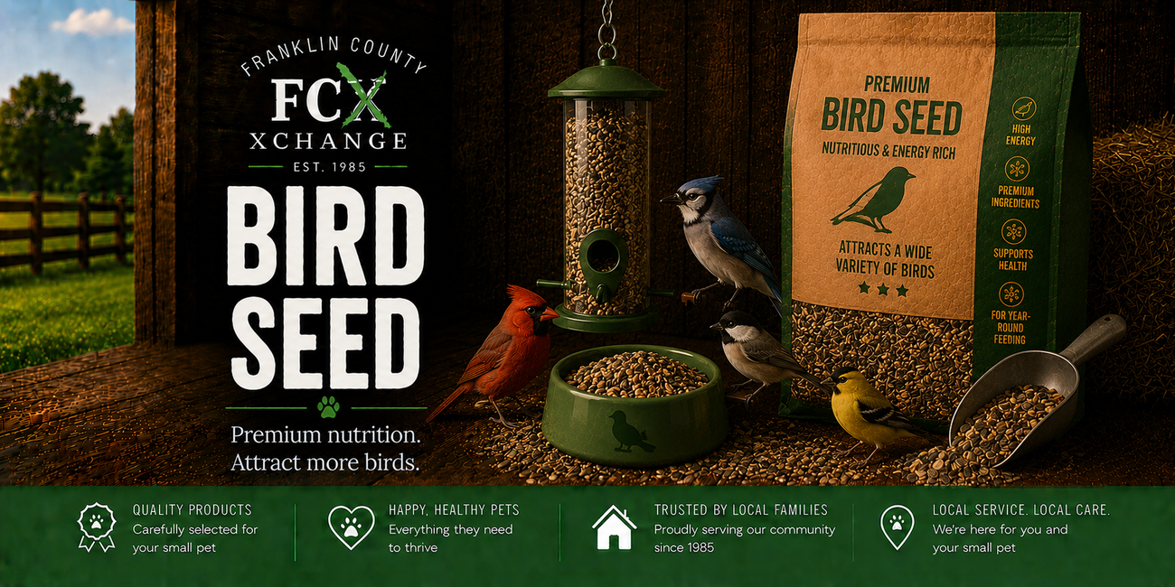 Bird Seed