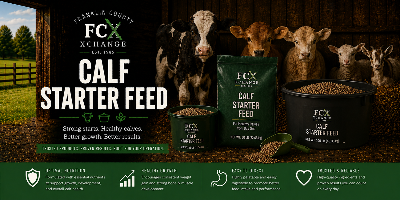 Livestock Calf Starter Feed