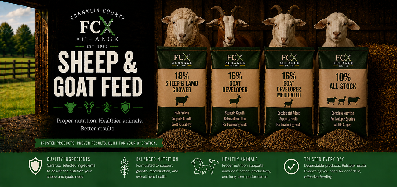 Livestock Sheep & Goat Feed