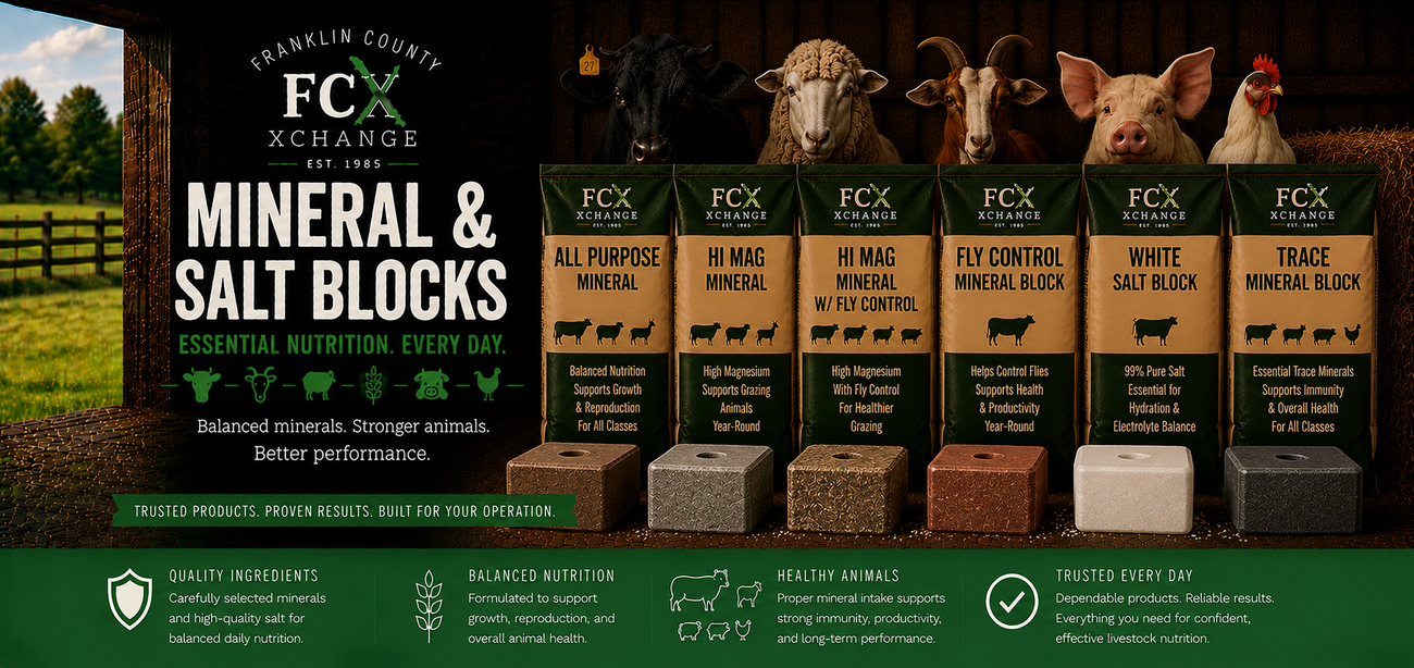 Livestock Mineral & Salt Blocks