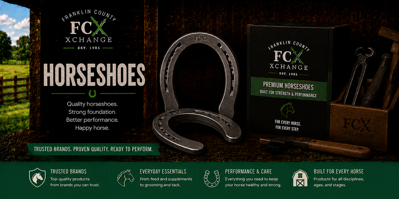 Horse Horseshoes