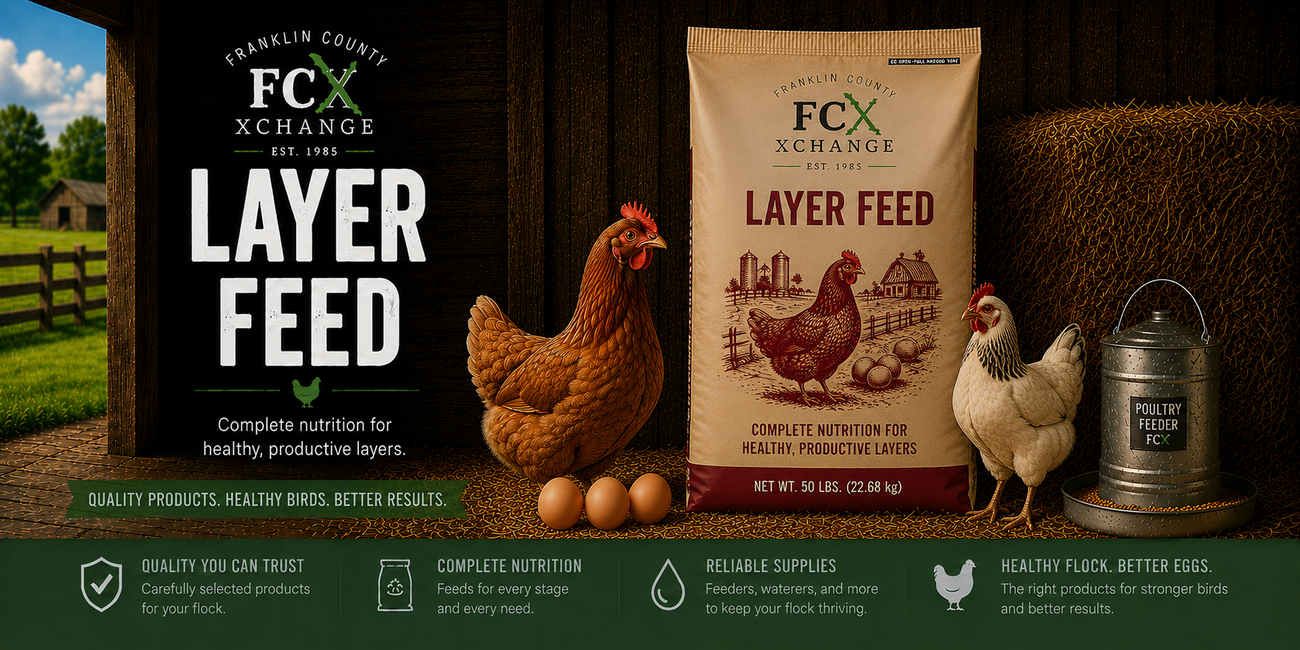 Poultry Layer Feed
