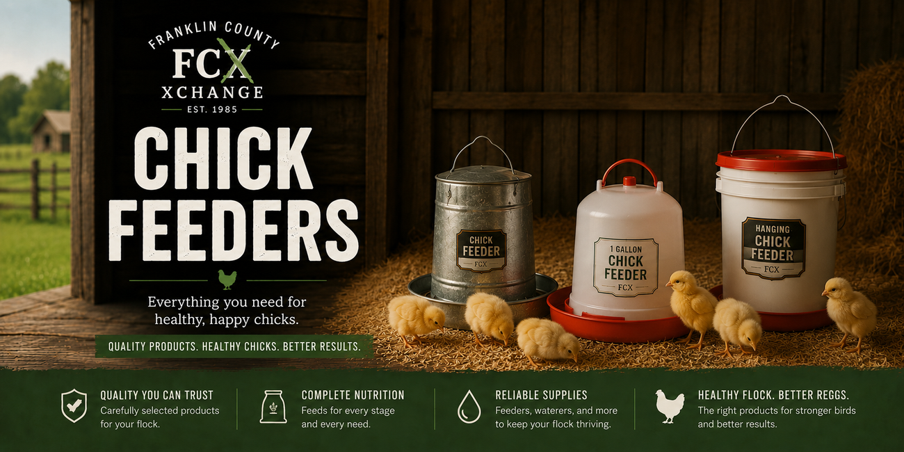 Poultry Chick Feeders