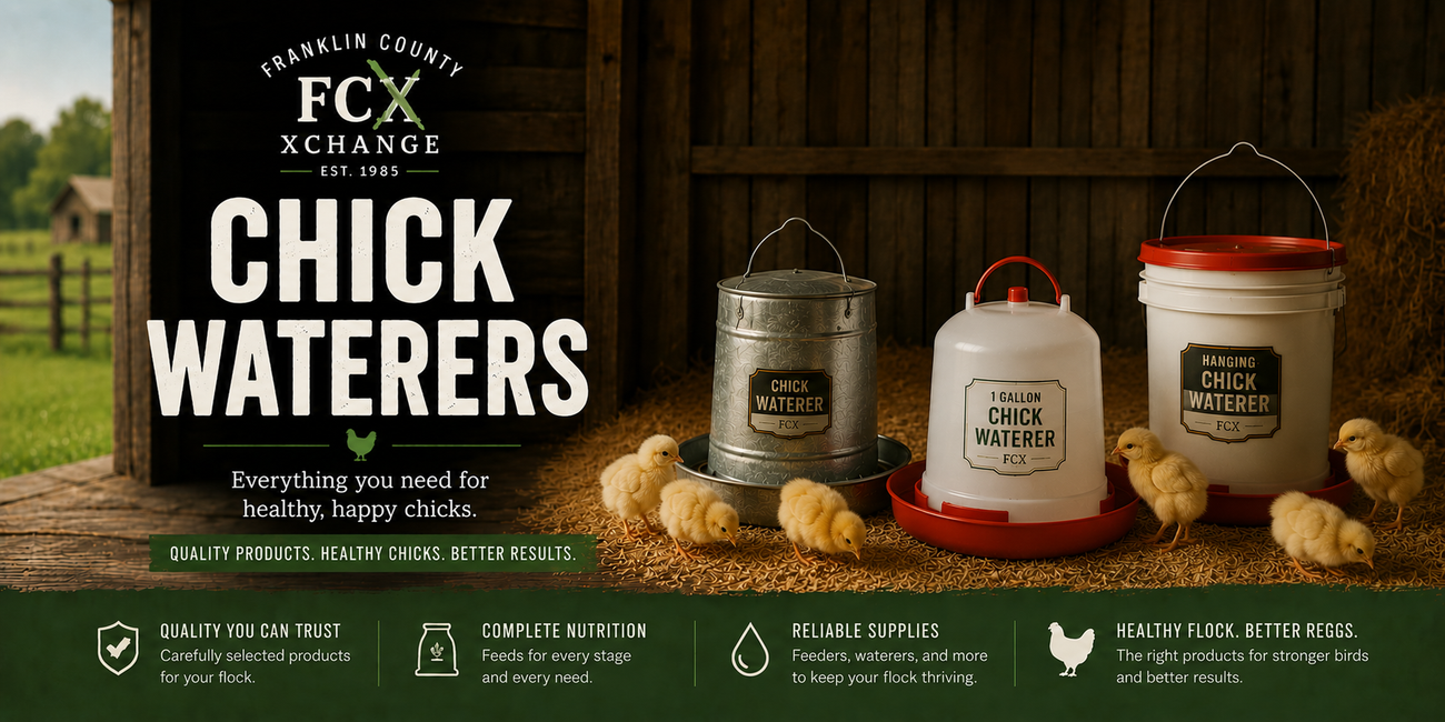 Poultry Chick Waterers
