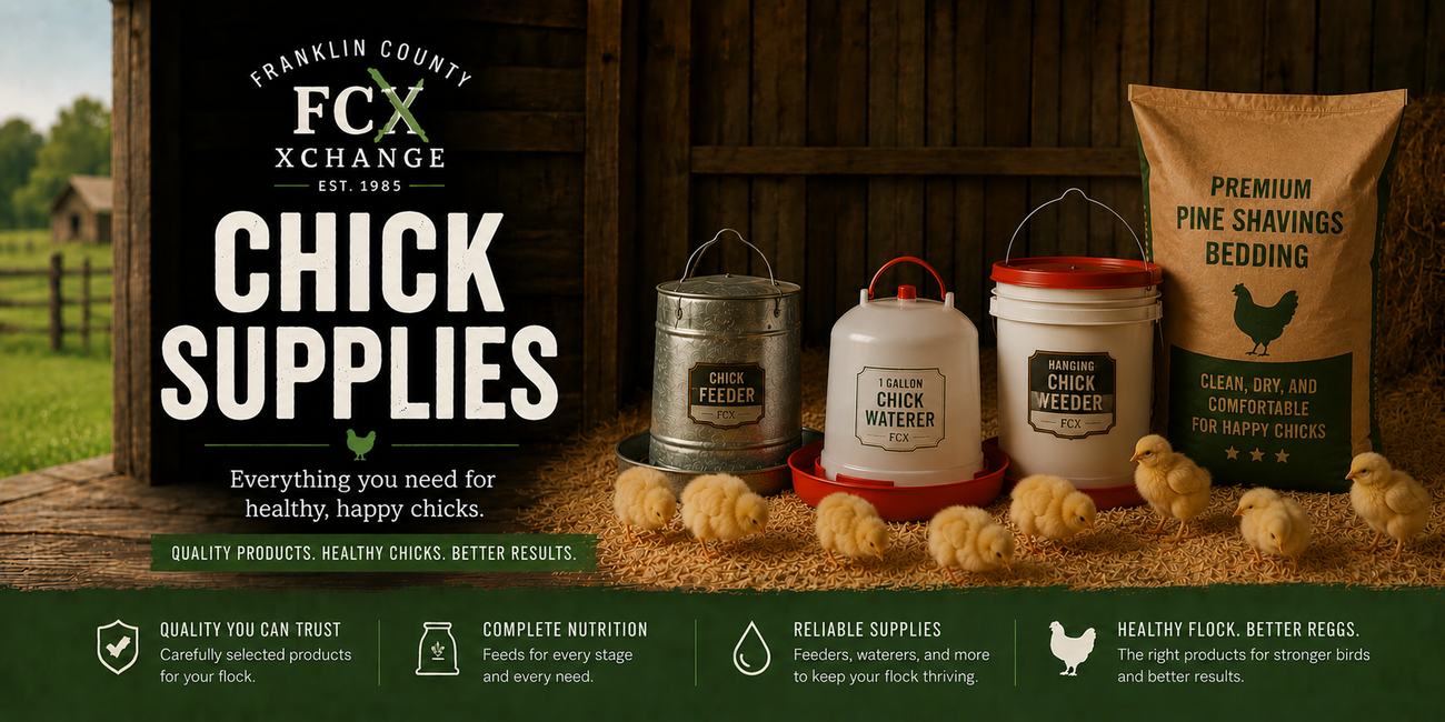 Poultry Chick Supplies