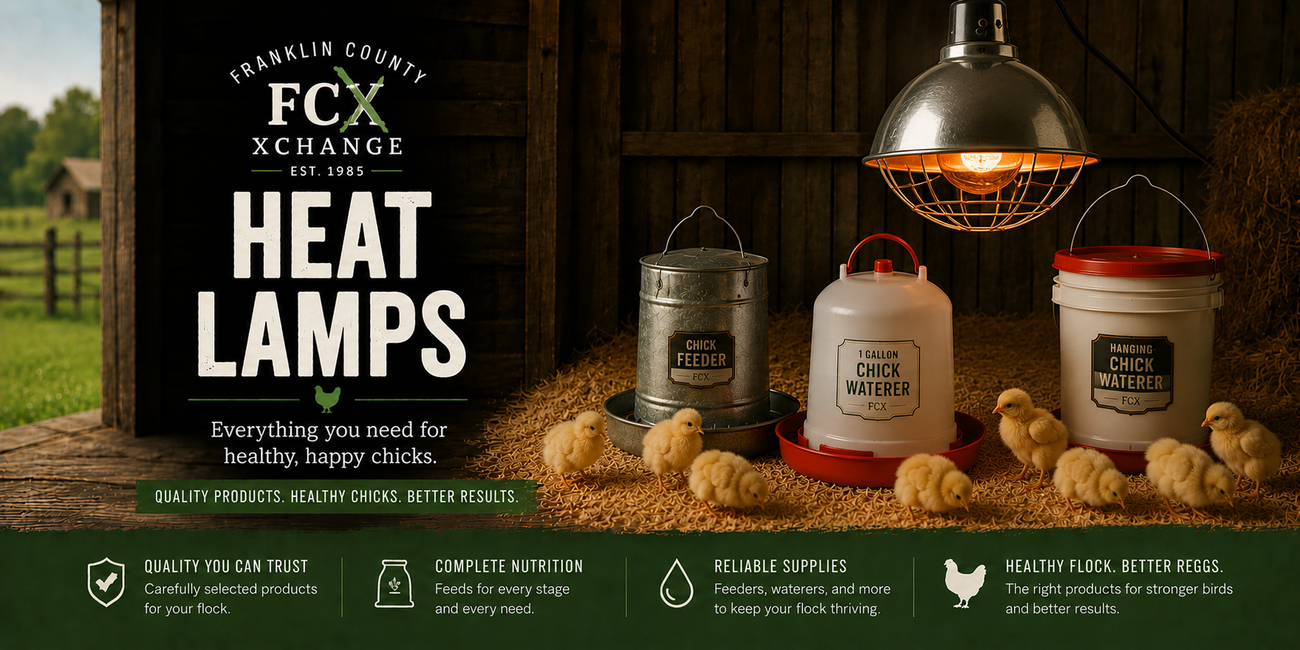 Poultry Heat Lamps