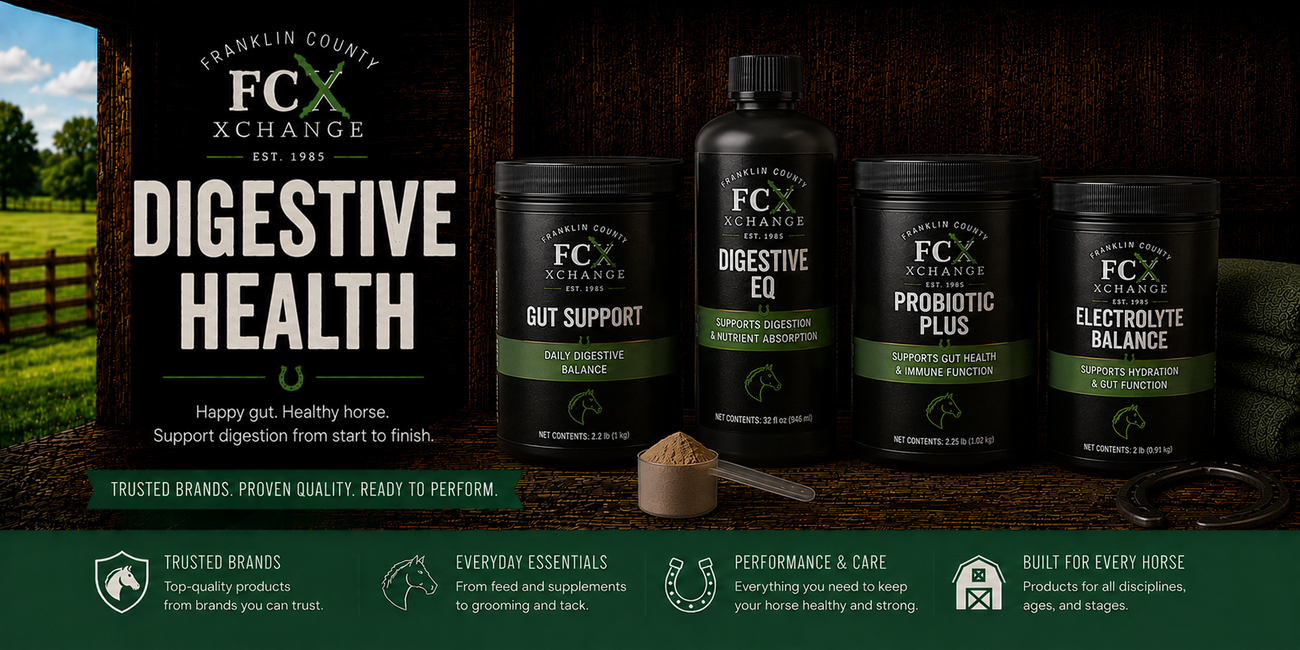 Horse Digestive Health
