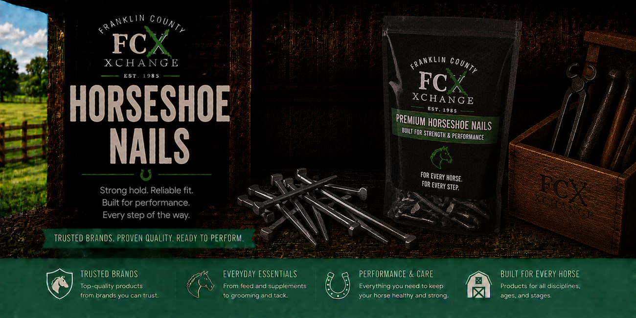 Horse Horseshoe Nails