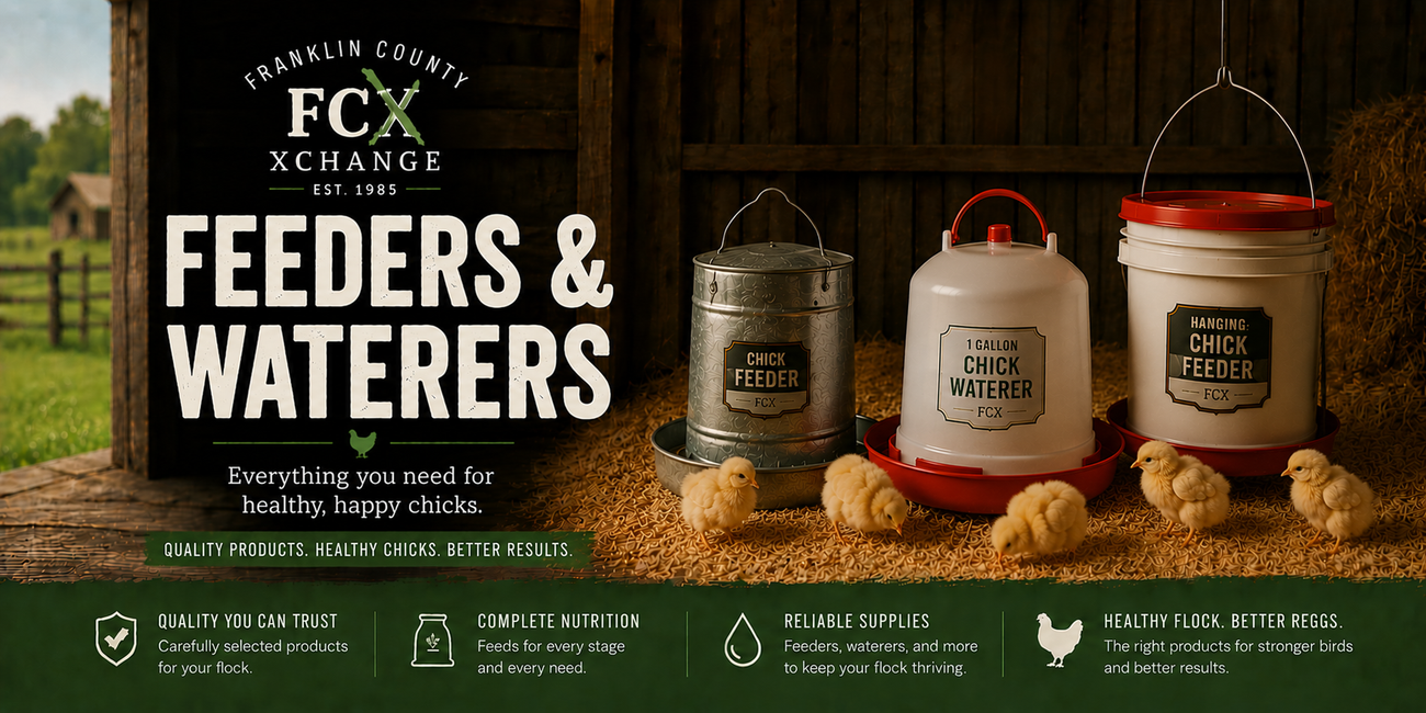 Poultry Feeders & Waterers