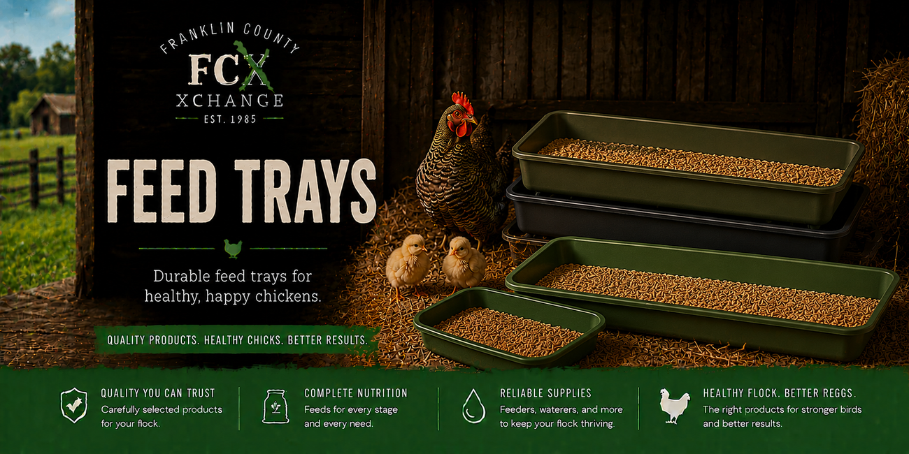 Poultry Feed Trays
