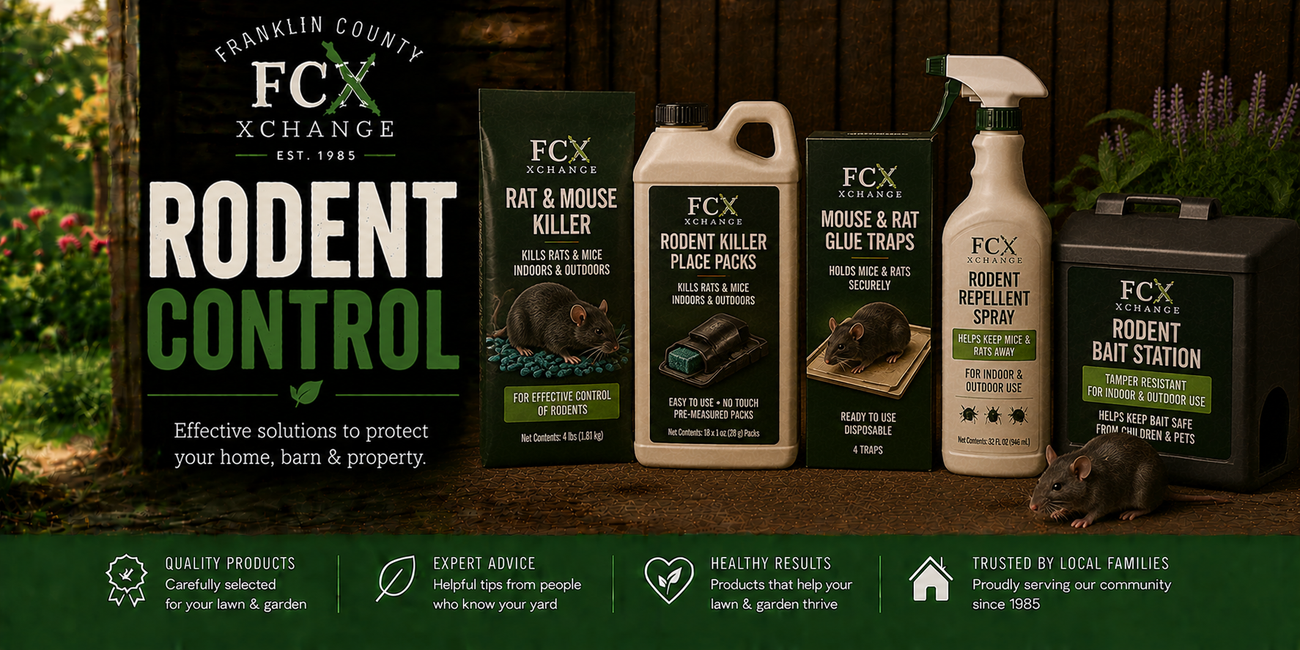 Pest Control Rodent Control