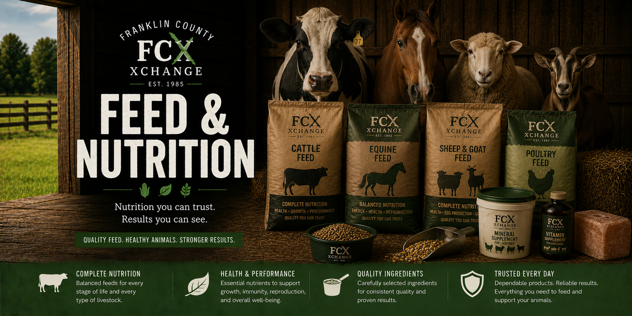 Livestock Feed & Nutrition