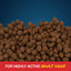 Sportmix Essentials Adult Bacon Flavor Dry Dog Food, 40-lbs