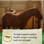 Nutrena Safe Choice Special Care Pellet Feed 50 lbs