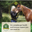 Nutrena Safe Choice Special Care Pellet Feed 50 lbs