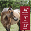 Nutrena Safe Choice Special Care Pellet Feed 50 lbs