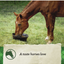 Nutrena Safe Choice Special Care Pellet Feed 50 lbs