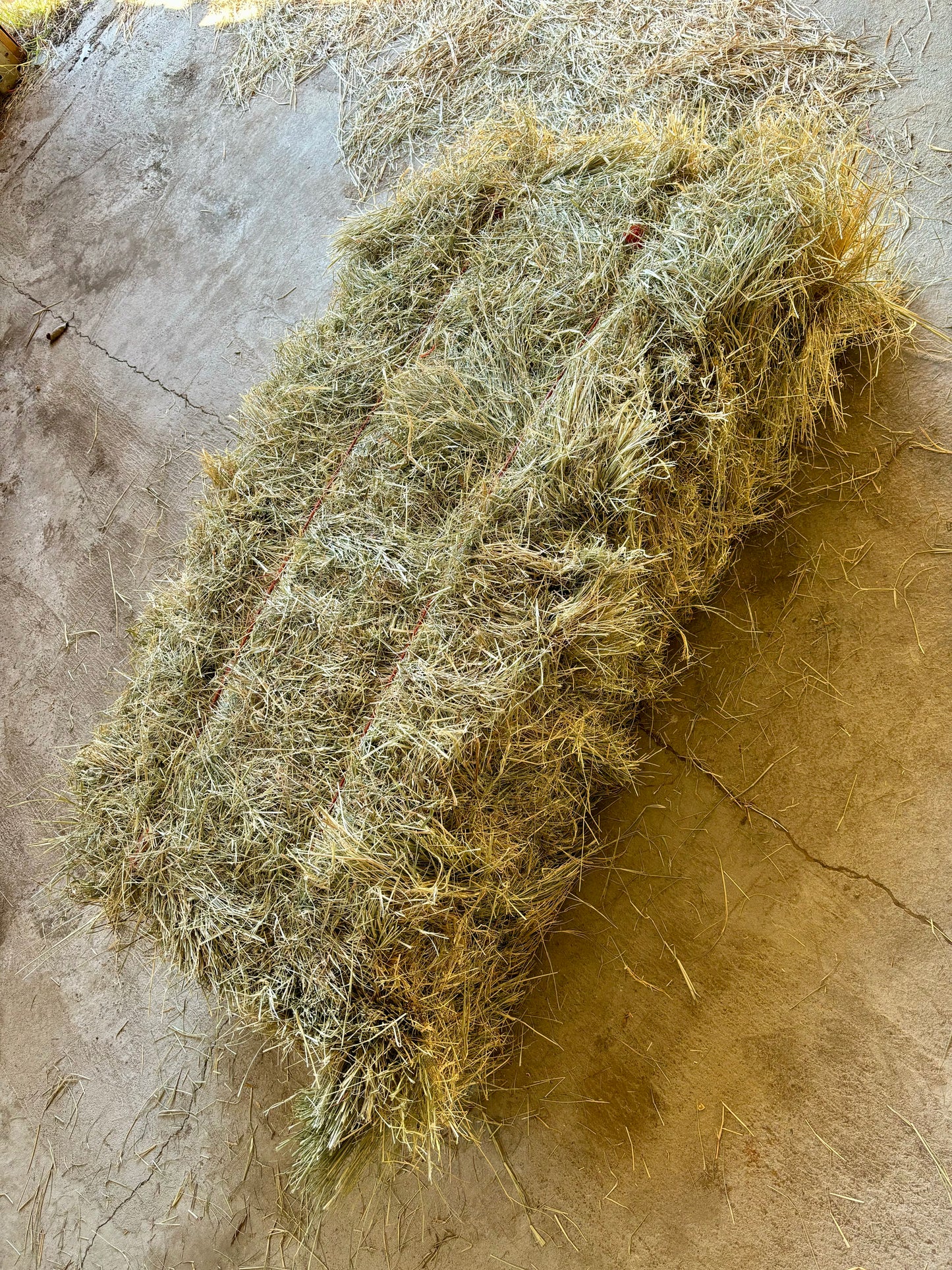 Hay Square Bale