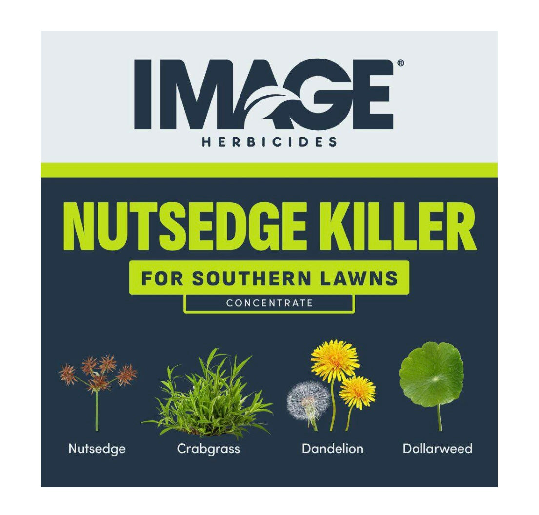 Image Nutsedge Killer Ready to Spray 32 oz
