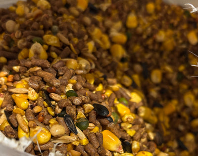 Kalmbach 7 Way Scratch SE Gamecock Poultry Conditioner 50-lbs