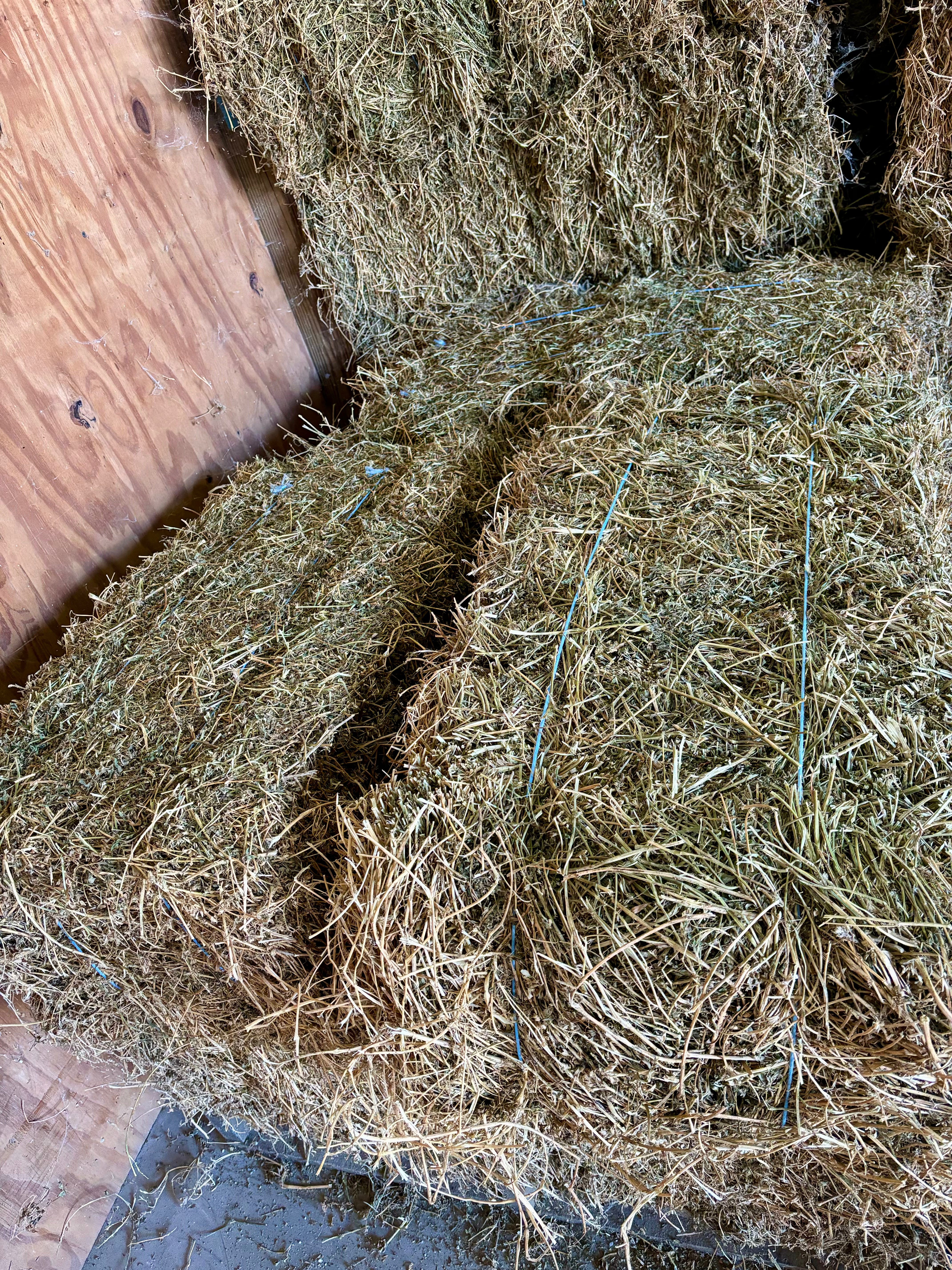 Hay Alfalfa Alabama square bale – Franklin County Xchange