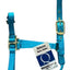 Valhoma Premium Horse Halters