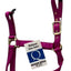 Valhoma Premium Horse Halters