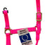 Valhoma Premium Horse Halters