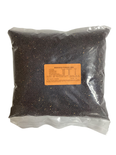 Brassica Forage Mix