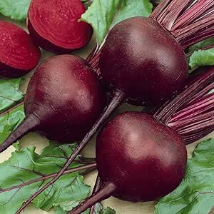 Beet Detroit Dark Red